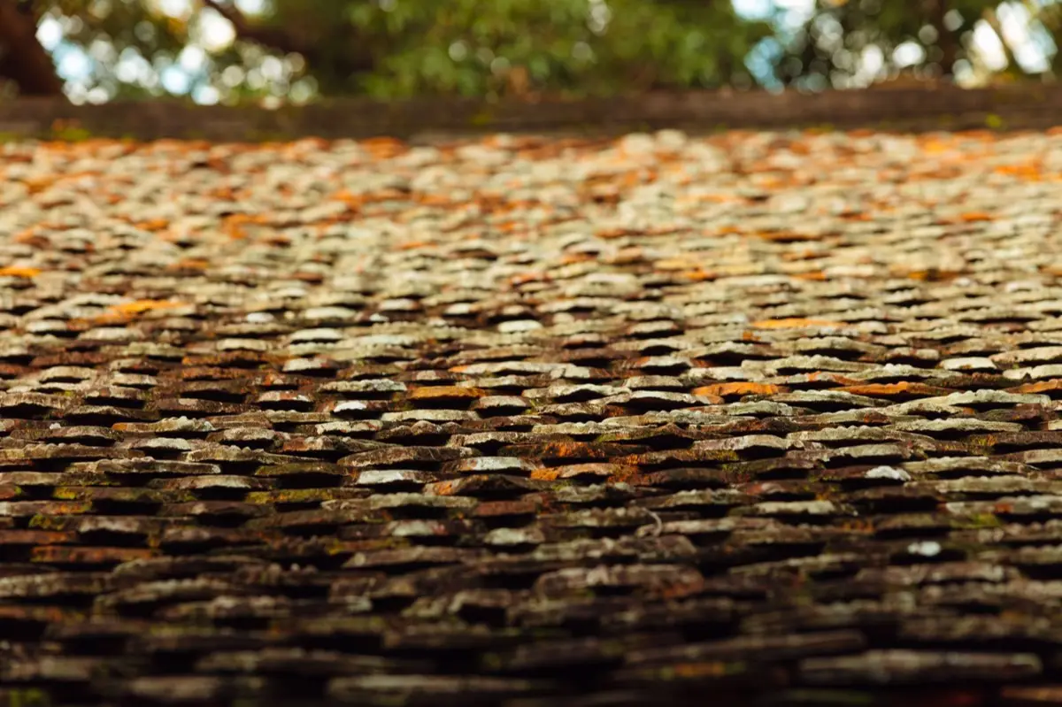 Aging shingle roof with moss growth and granule loss in Gilroy, CA